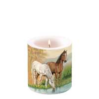 Art.No.19209345- Свещ малка Horses  от 