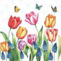 Art.No.13311525- Салфетки Tulips and Muskari от 