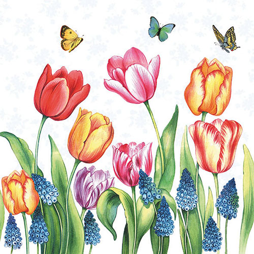 Салфетки Tulips and Muskari