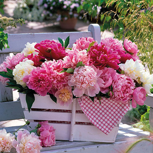 Салфетки  Peonies in Basket 