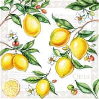 Art.No.13311520- Салфетки Citrus  от 