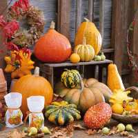 Art.No.13309605- Салфетки Pumpkins Picture  от 