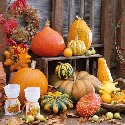 Салфетки Pumpkins Picture 