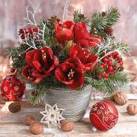 Art.No.33312175- Салфетки Amaryllis Bouquet  от 