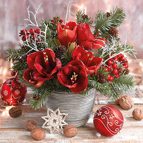 Салфетки Amaryllis Bouquet 