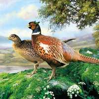 Art.No.13308930- Салфетки Pheasant  от 