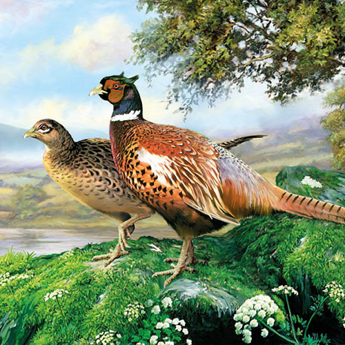 Салфетки Pheasant 