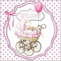 Art.No.13312980- Салфетки Welcome pink от 