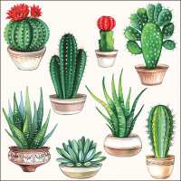 Art.No.13310255- Салфетки Cactus от 