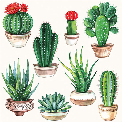 Салфетки Cactus