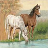 Art.No.13309345- Салфетки Horses 13309345 от 
