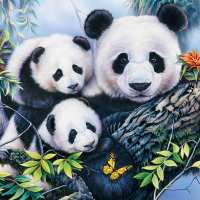Art.No.13313160- Салфетки Panda  от 
