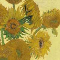 Art.No.13311800- Салфетки Van Gogh Sunflower  от 