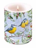 Art.No.39111915- Свещ  Chirping Birds  от 