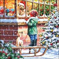 Art.No.33304575- Салфетки Wishing  от 
