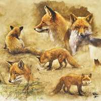 Art.No.13311005- Салфетки Portraits Of Foxes  от 