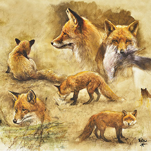 Салфетки Portraits Of Foxes 