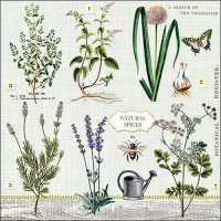 Art.No.13311395- Салфетки Herbs Garden  от 