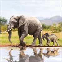 Art.No.13311575- Салфетки Elephant  от 