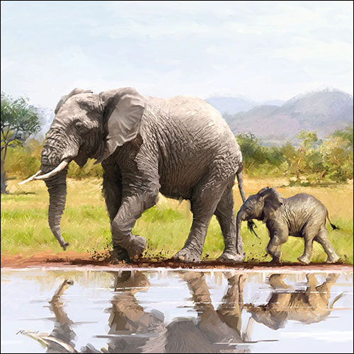 Салфетки Elephant 