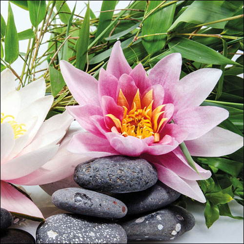 Салфетки Water Lily 
