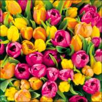 Art.No.13306095- Салфетки Tulips  от 
