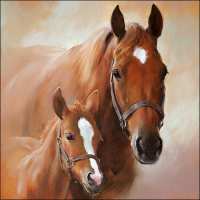 Art.No.13307350- Салфетки Horse with foal от 
