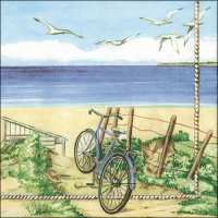 Art.No.13303325- Салфетки Beach bicycle от 
