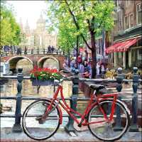 Art.No.13310060- Салфетки Amsterdam canal от 