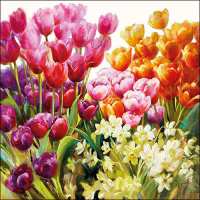 Art.No.13314960- Салфетки Tulips от 