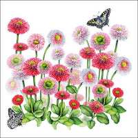Art.No.13314950- Салфетки Bellis от 