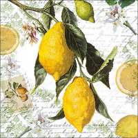 Art.No.13314990- Салфетки Lemon от 