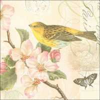 Art.No.13305890- Салфетки Bird and blossom от 