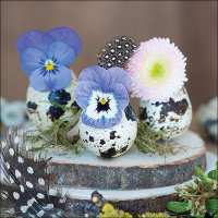 Art.No.13314115- Салфетки Flowers in eggs от 