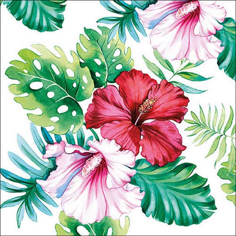Салфетки Hibiscus Floral white