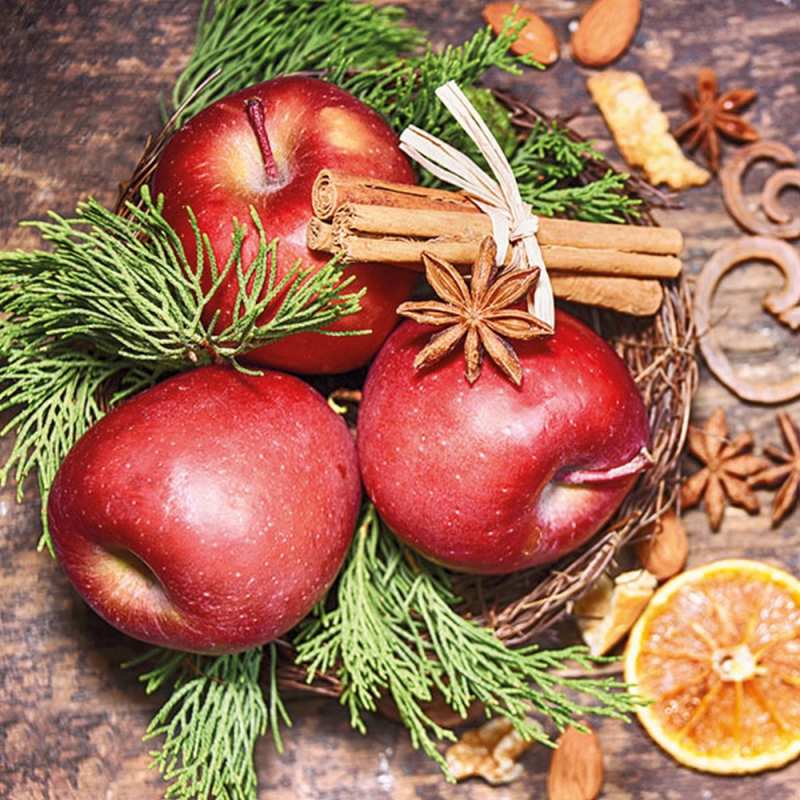 Салфетки Winter apples