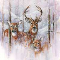 Art.No.33315305- Салфетки Wilderness от 