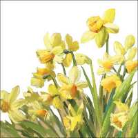 Art.No.13316195- Салфетки Golden Daffodils от 