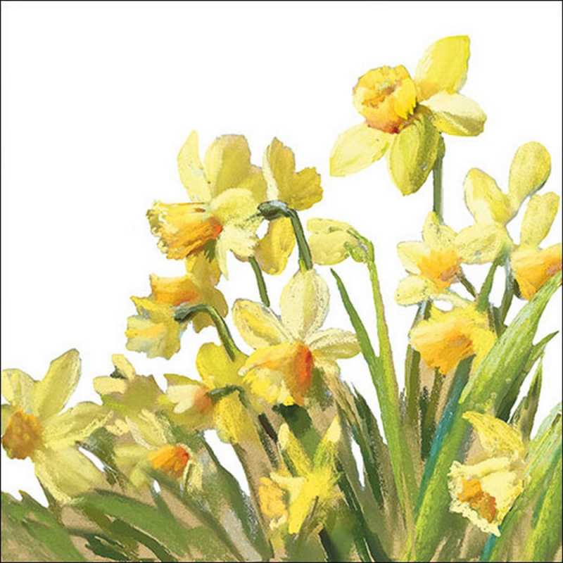 Салфетки Golden Daffodils