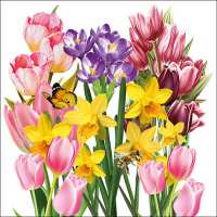 Art.No.13316025- Салфетки Spring Garden от 