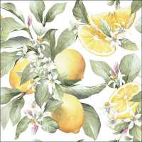 Art.No.13316065- Салфетки Limoni от 