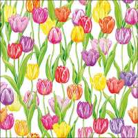 Art.No.13314360- Салфетки Magic Tulips от 
