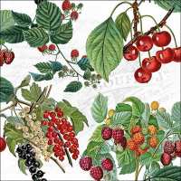 Art.No.13316105- Салфетки Fresh Fruits от 