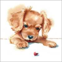 Art.No.13316300- Салфетки Puppy and Ladybird от 