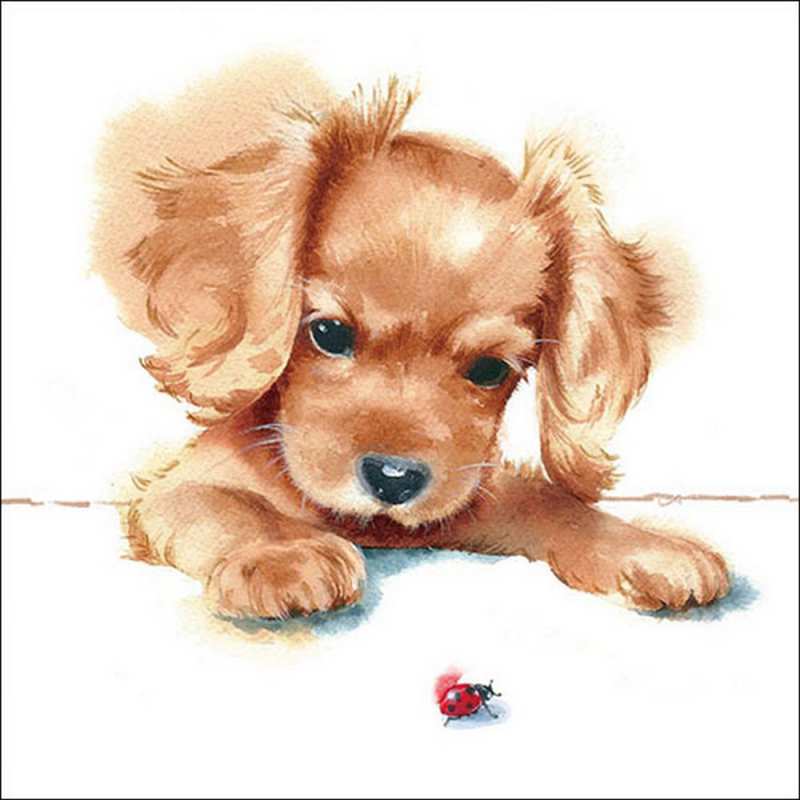 Салфетки Puppy and Ladybird