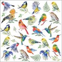 Art.No.13311825- Салфетки Birds Votes от 