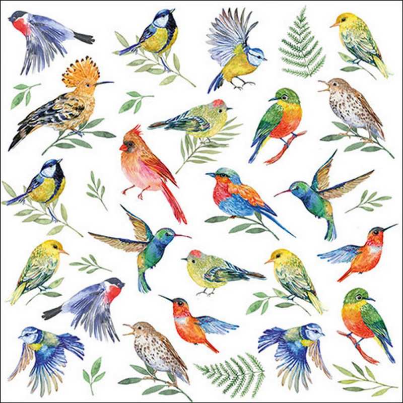 Салфетки Birds Votes