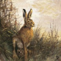 Art.No.13314425- Салфетки  Portrait of Hare от 