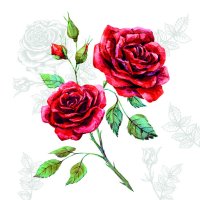 Art.No.13316335- Салфетки Grase от 