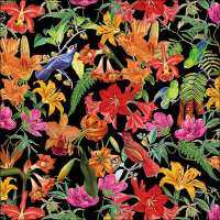 Art.No.13311516- Салфетки Paradise birds black от 